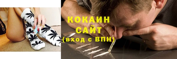 PSILOCYBIN Вязники