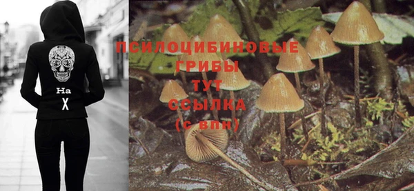 PSILOCYBIN Вязники