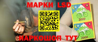 стаф Донецк