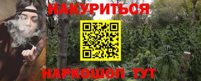 стаф Донецк