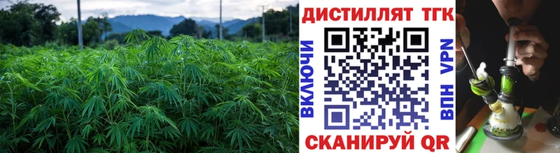 Дистиллят ТГК THC oil  ОМГ ОМГ онион  Ноябрьск 