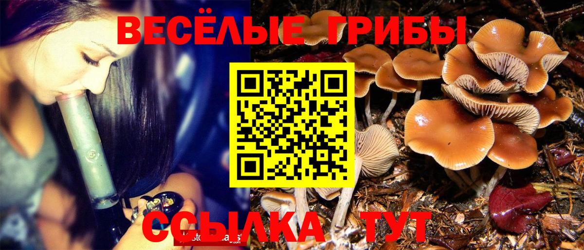Галлюциногенные грибы GOLDEN TEACHER Ноябрьск